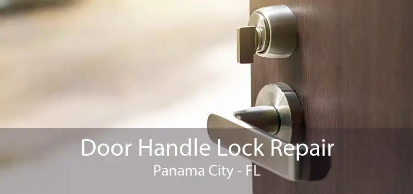 Door Handle Lock Repair Panama City - FL