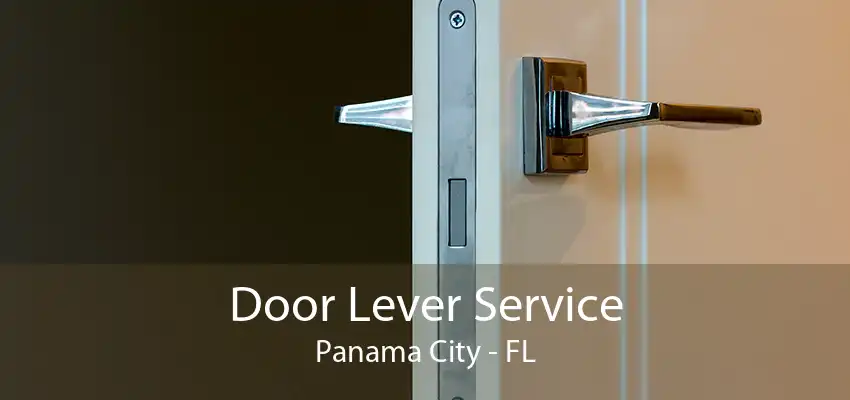 Door Lever Service Panama City - FL